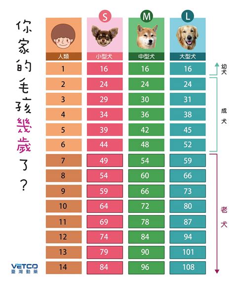 寵物年齡查詢|狗貓年紀對照表 